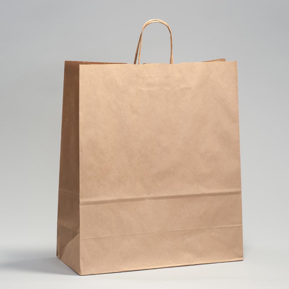 Kraft Paper Bag with Twist Handles