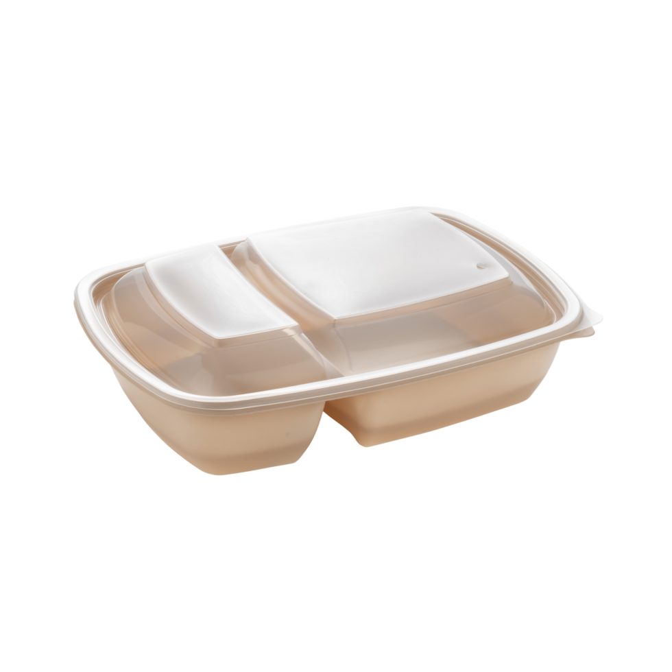 2-Compartment 23 x 17 cm Rectangular Containers - Box of 300