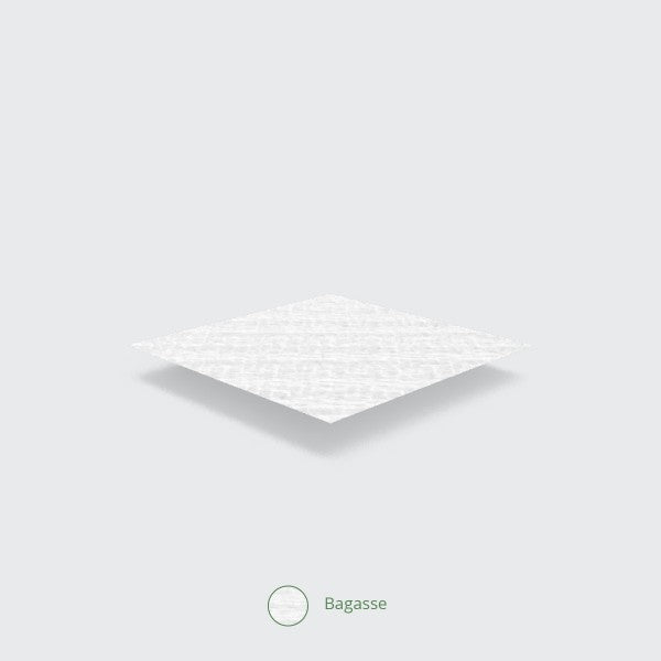 Vegware 10 x 5in Bagasse Rectangle Plate - Pack of 500