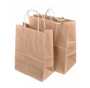 Kraft Large Paper Bag with Twist Handles