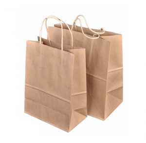 Kraft Medium Paper Bag with Twist Handles